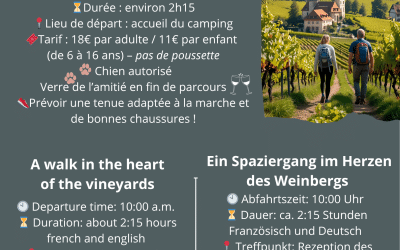 Passeggiate tra i vigneti