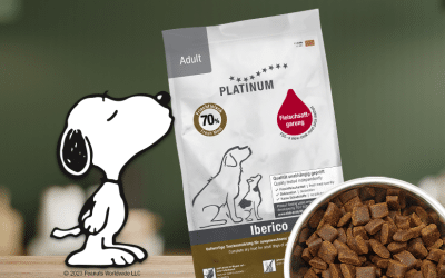 I cani sono i benvenuti