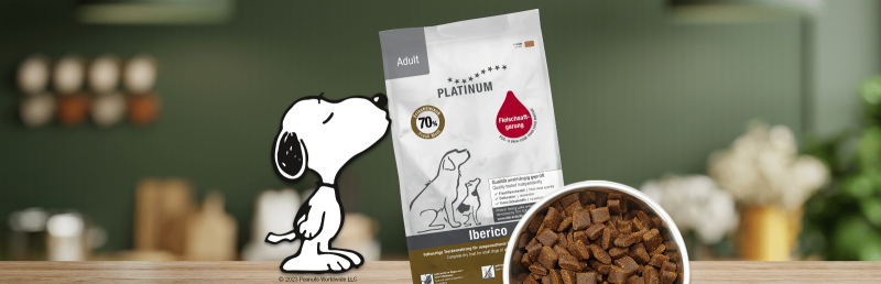 chiens-riquewihr-alsace-camping-platinum-colmar-ribeauville